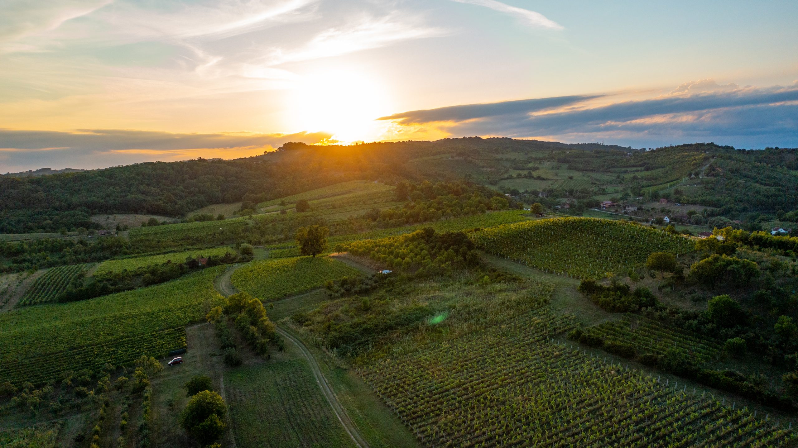 Turistička zajednica Meridiana Slavonica