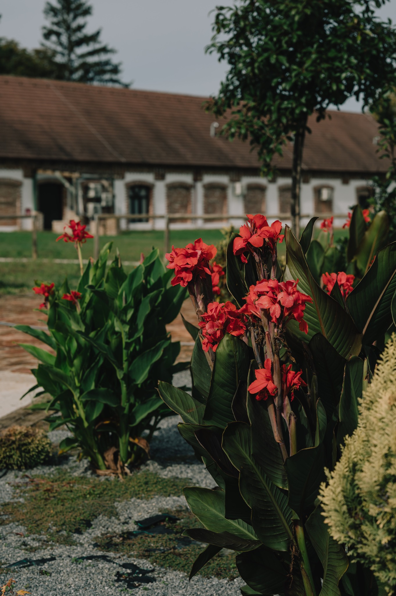 Valentinovo Restoran Višnjica